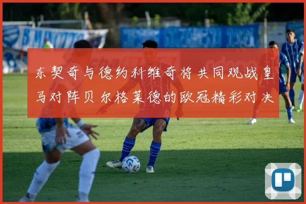 东契奇与德约科维奇将共同观战皇马对阵贝尔格莱德的欧冠精彩对决
